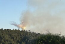 Φωτιά σε δασική έκταση στην Σκιάθο