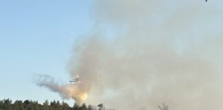 Φωτιά σε δασική έκταση στην Σκιάθο