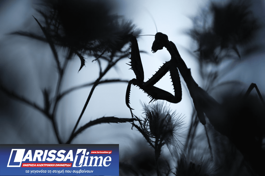 “Μικρές Ιεροτελεστίες της Άνοιξης – Ένα Ρέκβιεμ από το Μέλλον” στο Λόφος Art Project 