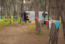 Το ξεχασμένο κουκλάκι του Βίκτωρα και το Υγειονομικό στην καντίνα του Ηρακλή