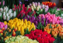 Ποιοι γιορτάζουν σήμερα 11 Απριλίου