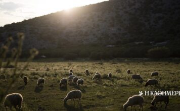 Η οδύσσεια μιας δικογραφίας | Η ΚΑΘΗΜΕΡΙΝΗ
