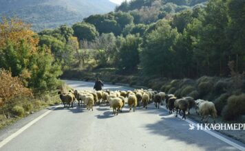 Τρεις νέες καυτές υποθέσεις στη δικογραφία του ΟΠΕΚΕΠΕ