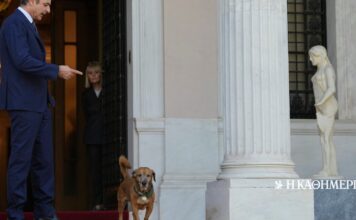 Τι προσπαθεί να «αλιεύσει» η Τουρκία