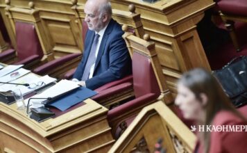 Φλωρίδης για Κωνσταντοπούλου: Σχηματίζεται αυτεπάγγελτη δικογραφία για κακούργημα