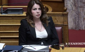 Υπόθεση Παπακώστα: Οι αλλοιώσεις στη βάση του ΟΠΕΚΕΠΕ και η εξαφάνιση 40 ζώων σε μία νύχτα