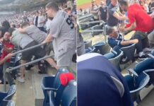 Χάος σε αγώνα μπέιζμπολ: Άγριο ξύλο μεταξύ οπαδών στις κερκίδες