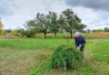 Ενημερωτική καμπάνια του Υπουργείου Κλιματικής Κρίσης για καθαρισμό οικοπέδων και πρόληψη πυρκαγιών
