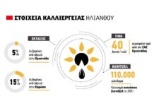 Ανάχωμα στην αφωνία της αγοράς ηλίανθου η τιμή για 40 λεπτά στην Ορεστιάδα