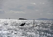 Γαλάζια Σημαία 2026: Συνολικά 657 βραβευμένες παραλίες