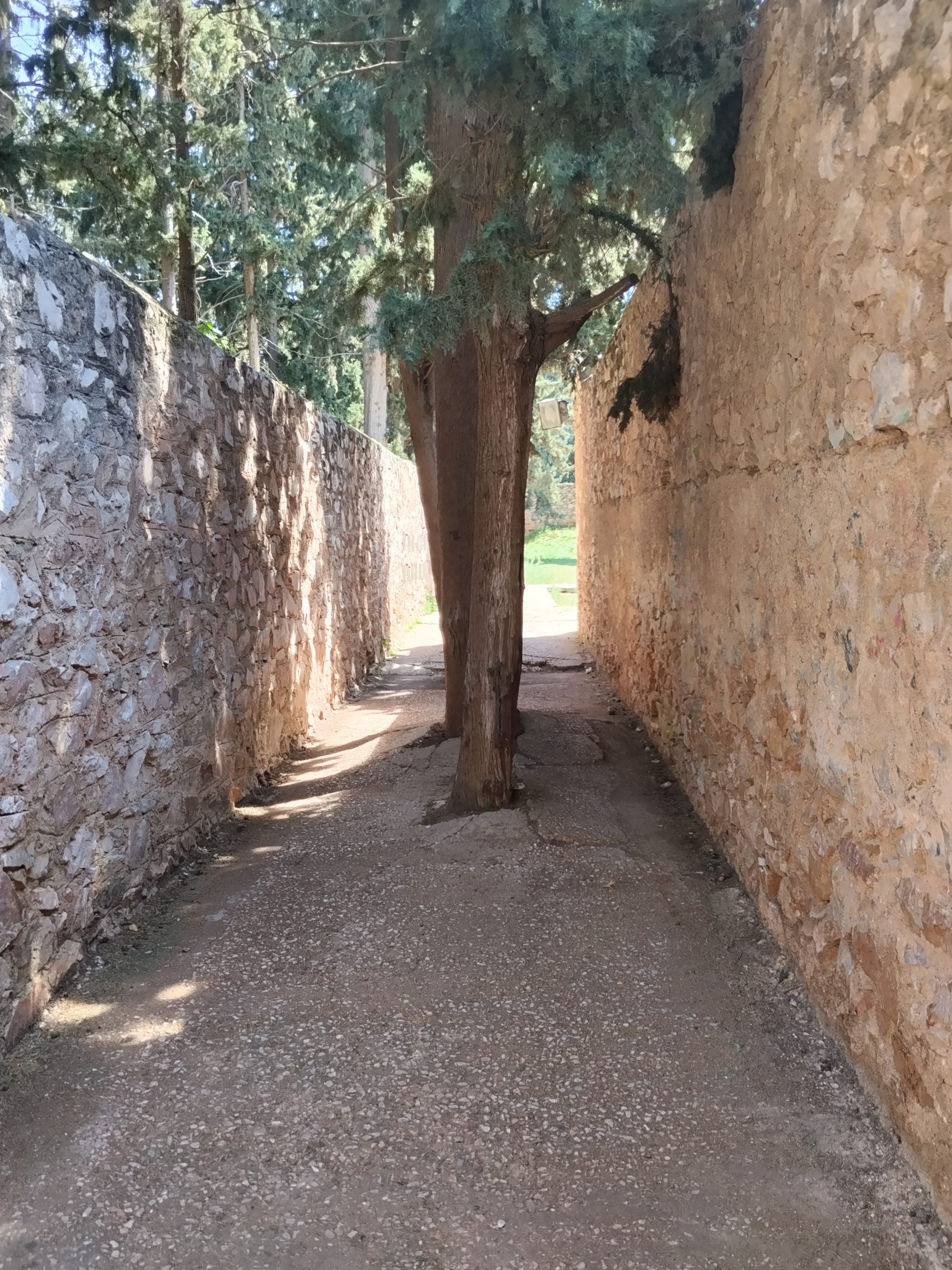ΚΑΙΣΑΡΙΑΝΗ