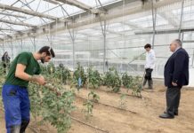 Κρίσιμος ο ρόλος της ΑΓΣ στη σύγχρονη γεωπονία