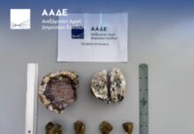 Συνελήφθησαν στο αεροδρόμιο δύο Ολλανδοί με απολιθώματα από το Απολιθωμένο Δάσος