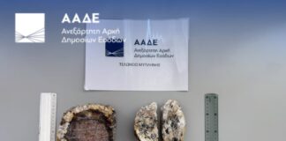 Συνελήφθησαν στο αεροδρόμιο δύο Ολλανδοί με απολιθώματα από το Απολιθωμένο Δάσος