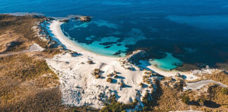 Αυστραλία: Σε κρίσιμη κατάσταση 30χρονος που δέχτηκε επίθεση από λευκό καρχαρία