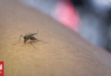 Γιατί κάποιοι άνθρωποι τραβούν σαν μαγνήτης τα κουνούπια και άλλοι όχι