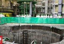 Ρωσία: Η Rosatom θέλει ρόλο στην κατασκευή ενός δεύτερου πυρηνικού σταθμού στο Καζακστάν