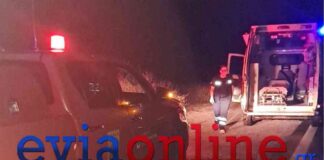 Εύβοια: Αυτοκίνητο έπεσε σε χαράδρα 80 μέτρων, «είχε Άγιο» ο οδηγός