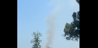 Φωτιά σε χαμηλή βλάστηση στο Κρυονέρι