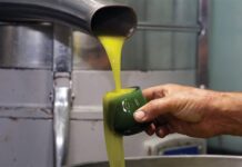 Μόλις 3% το μερίδιο του ελληνικού ελαιολάδου στις εξαγωγές της ΕΕ προς τρίτες χώρες