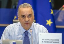 Αίτημα στην Κομισιόν για ειδικά εργαλεία στήριξης και προστασίας της ελαιοκαλλιέργειας