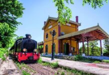 Επιπλέον δρομολόγια στο Τρένο του Πηλίου ενόψει του τριημέρου του Αγίου Πνεύματος