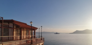 Το Evia Film Project, η πράσινη πρωτοβουλία του ΦΚΘ επιστρέφει- Το Δάσος η φετινή θεματική