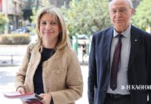 Την ιδρυτική διακήρυξη του κόμματος της κατέθεσε στον Αρειο Πάγο η Μαρία Καρυστιανού