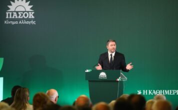 Ανδρουλάκης: «Κάνουν χειραγώγηση της κοινής γνώμης»