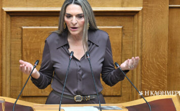 «Πόθεν έσχες»: Τι δηλώνει η πρόεδρος της Κ.Ο. της Νέας Αριστεράς, Πέτη Πέρκα