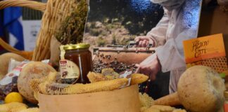 Την Κυριακή ανοίγει τις πύλες της η 29η Έκθεση Αγροτουρισμού στην Αρχαία Επίδαυρο