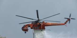Μεσσηνία: Φωτιά στο Χαρακοπιό