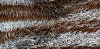 Το Nóema ανακοινώνει τους 15 φιναλίστ για το Nóema Craft Prize 2026