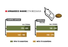 Με αποδόσεις έως 220 κιλά ανά στρέμμα το αλώνι στη φακή