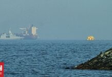 Ο αμερικανικός στρατός αναφέρει ότι 55 εμπορικά πλοία διέπλευσαν τα Στενά του Ορμούζ