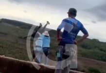 Βραζιλία: Τραγικός θάνατος για γυναίκα ενώ έκανε bungee jumping – Σοκαριστικό βίντεο