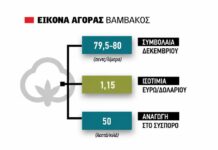 Βάση 80 σεντς στο βαμβάκι, η ποιότητα θα ανταμειφθεί φέτος