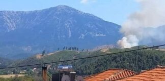 Φωτιά σε δασική έκταση στην Εύβοια