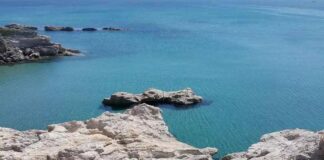 Γερμανοί τουρίστες εντόπισαν ανθρώπινο κρανίο και οστά στο Φαναράκι