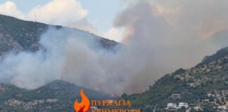 Φωτιά στην Κορινθία: Μήνυμα από το 112 – «Παραμείνετε σε ετοιμότητα»