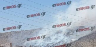 Χωρίς ενεργό μέτωπο η φωτιά στον Ασπρόπυργο – Σε επιφυλακή οι δυνάμεις της Πυροσβεστικής