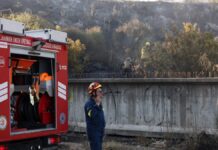 Συλλήψεις για δύο αγροτικές πυρκαγιές από αμέλεια σε Λακωνία και Αχαΐα