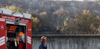 Συλλήψεις για δύο αγροτικές πυρκαγιές από αμέλεια σε Λακωνία και Αχαΐα
