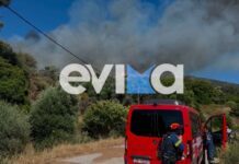 Εύβοια: Μεγάλη φωτιά σε δασική έκταση στην Κάρυστο