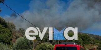 Εύβοια: Μεγάλη φωτιά σε δασική έκταση στην Κάρυστο