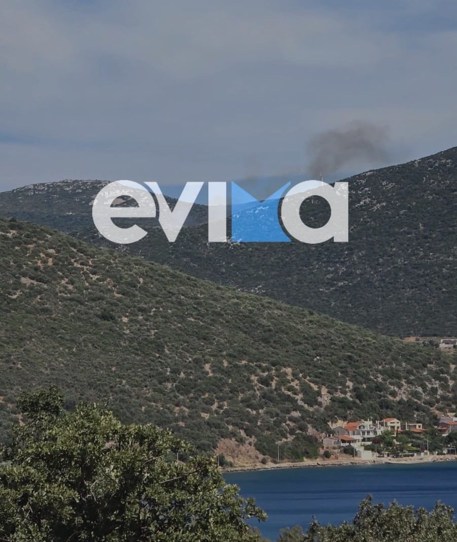 Φωτιά, Εύβοια