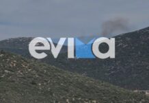 Εύβοια: Οριοθετήθηκε η φωτιά στον Αλμυροπόταμο, φόβοι για αναζοπυρώσεις
