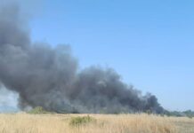 Νέα φωτιά στα Τσαΐρια Περαίας – Συναγερμός στην Πυροσβεστική