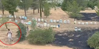 Φωτιά στο Άλσος Βεΐκου: Αθώος ο 45χρονος μελισσοκόμος