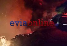 Φωτιές από κεραυνούς ξέσπασαν στην Εύβοια